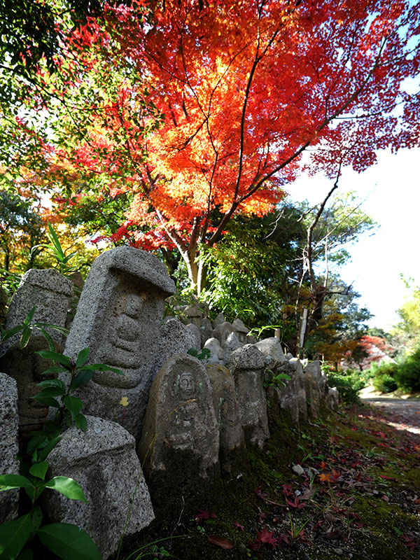 去年の紅葉