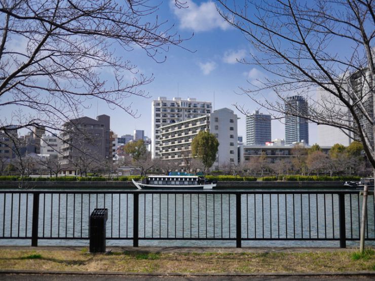 先週末の大川の風景