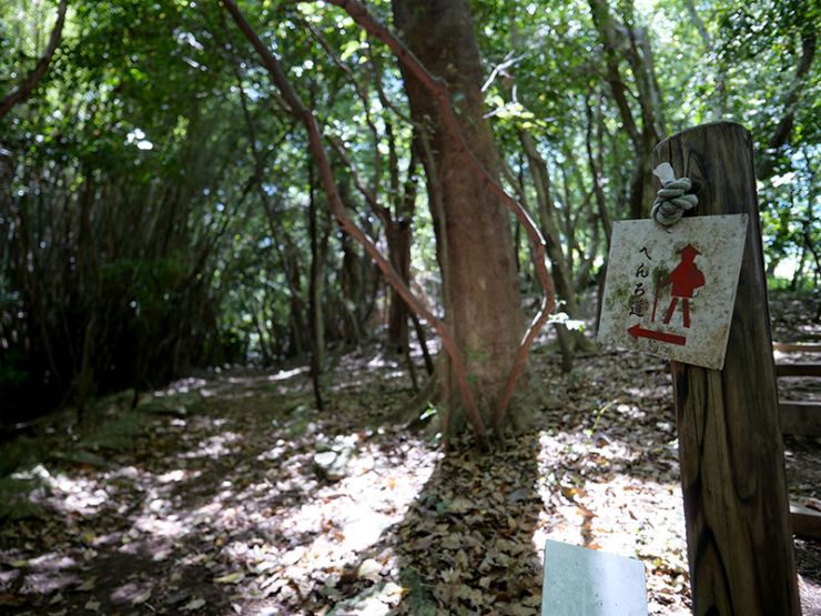 牧野植物園内の『へんろ道』